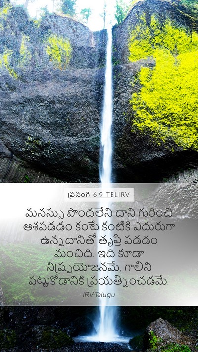 ప్రసంగి 6:9 TELIRV Bible Verse Image