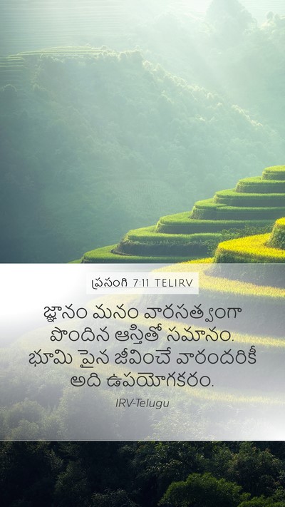 ప్రసంగి 7:11 TELIRV Bible Verse Image