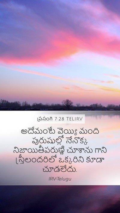 ప్రసంగి 7:28 TELIRV Bible Verse Image