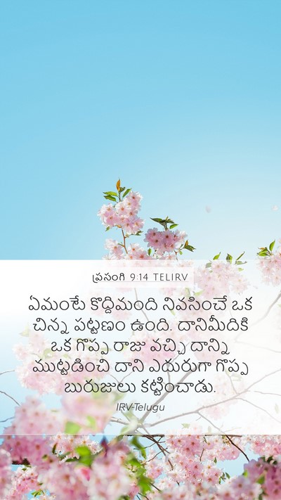 ప్రసంగి 9:14 TELIRV Bible Verse Image