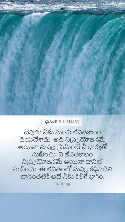 ప్రసంగి 9:9 TELIRV Bible Verse Image