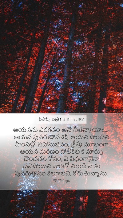 ఫిలిప్పీ పత్రిక 3:11 TELIRV Bible Verse Image