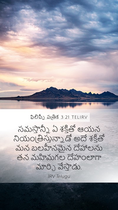 ఫిలిప్పీ పత్రిక 3:21 TELIRV Bible Verse Image