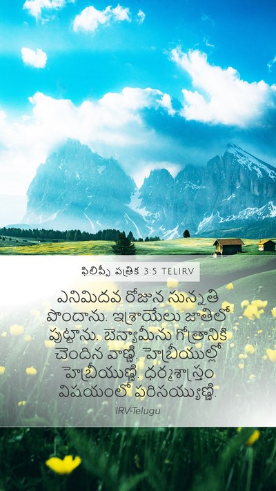 ఫిలిప్పీ పత్రిక 3:5 TELIRV Bible Verse Image