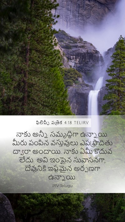 ఫిలిప్పీ పత్రిక 4:18 TELIRV Bible Verse Image