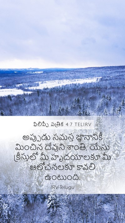 ఫిలిప్పీ పత్రిక 4:7 TELIRV Bible Verse Image