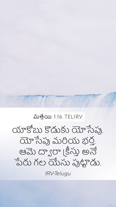 మత్తయి 1:16 TELIRV Bible Verse Image