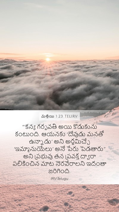 మత్తయి 1:23 TELIRV Bible Verse Image
