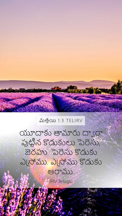 మత్తయి 1:3 TELIRV Mobile Phone Wallpaper - యూదాకు తామారు - Mobile Bible Verse Wallpaper
