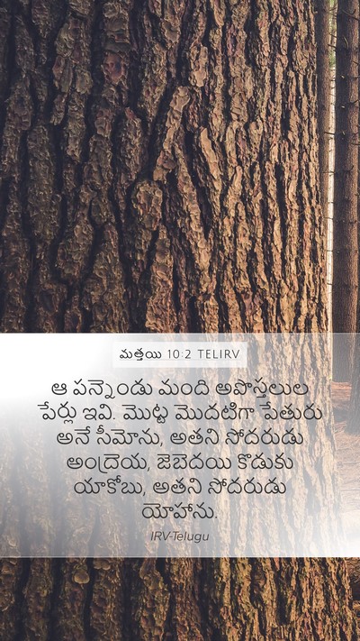 మత్తయి 10:2 TELIRV Bible Verse Image