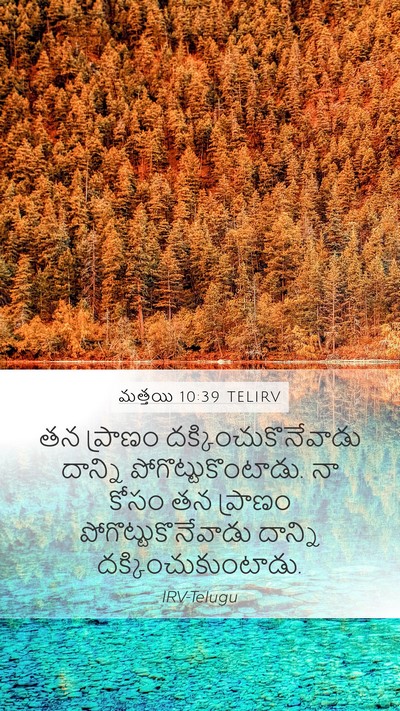 మత్తయి 10:39 TELIRV Bible Verse Image