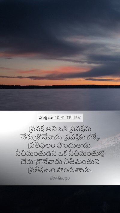 మత్తయి 10:41 TELIRV Mobile Phone Wallpaper - ప్రవక్త అని ఒక - Mobile Bible Verse Wallpaper