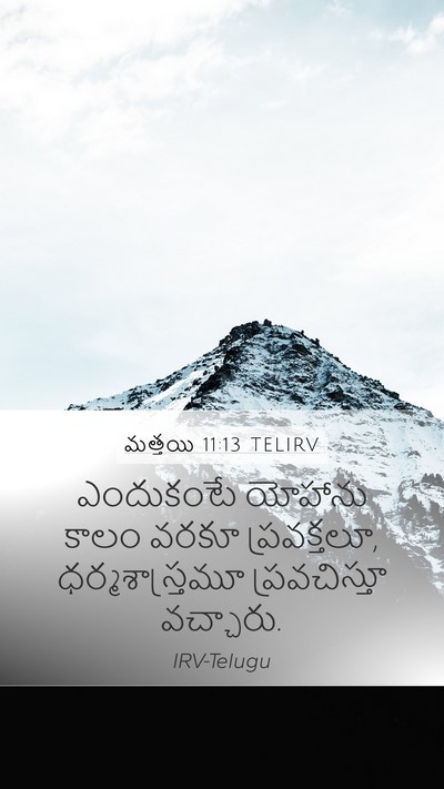 మత్తయి 11:13 TELIRV Mobile Phone Wallpaper - ఎందుకంటే యోహాను - Mobile Bible Verse Wallpaper