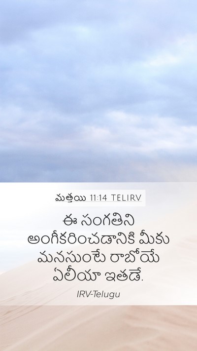 మత్తయి 11:14 TELIRV Bible Verse Image