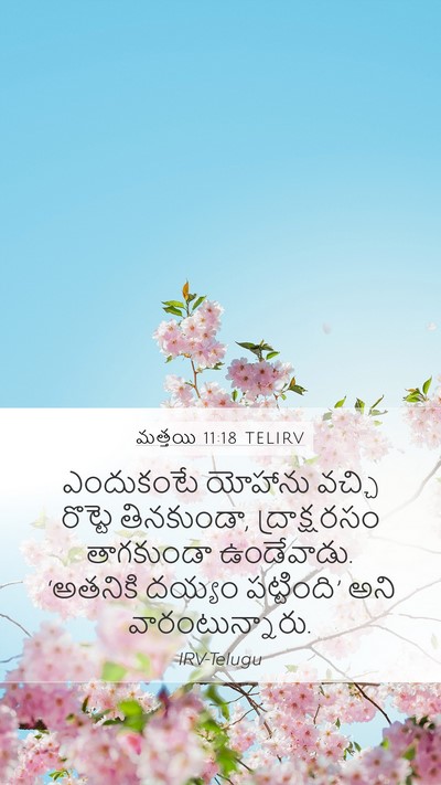 మత్తయి 11:18 TELIRV Bible Verse Image