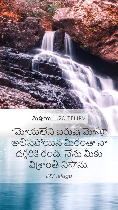మత్తయి 11:28 TELIRV Bible Verse Image