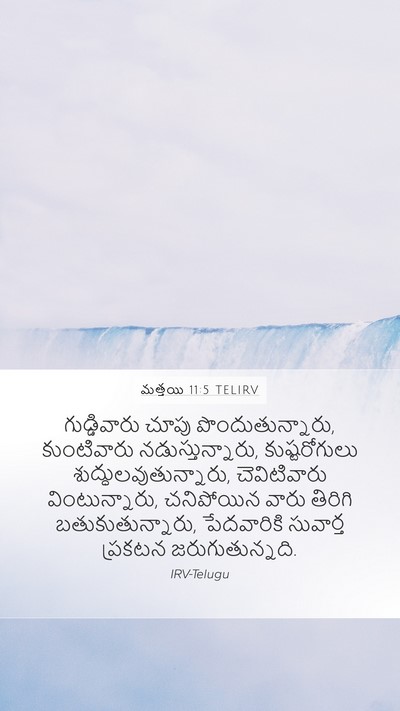 మత్తయి 11:5 TELIRV Bible Verse Image