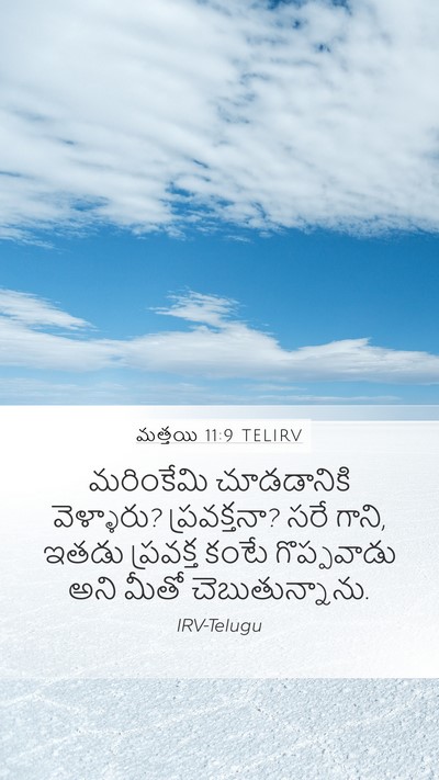 మత్తయి 11:9 TELIRV Bible Verse Image