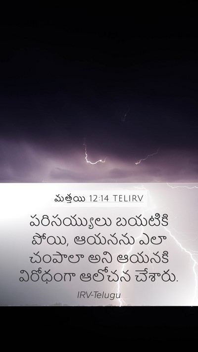 మత్తయి 12:14 TELIRV Bible Verse Image
