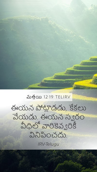 మత్తయి 12:19 TELIRV Bible Verse Image