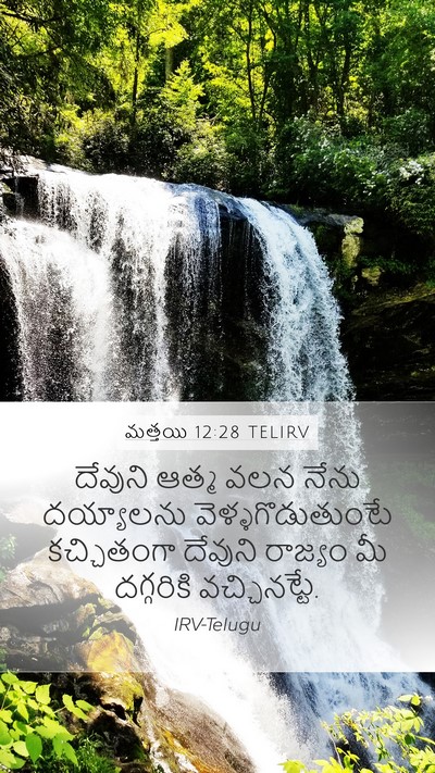 మత్తయి 12:28 TELIRV Bible Verse Image