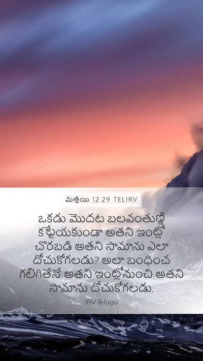 మత్తయి 12:29 TELIRV Bible Verse Image