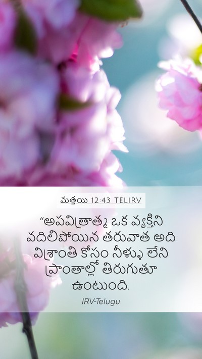 మత్తయి 12:43 TELIRV Bible Verse Image