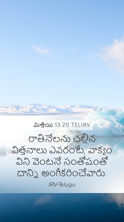 మత్తయి 13:20 TELIRV Bible Verse Image