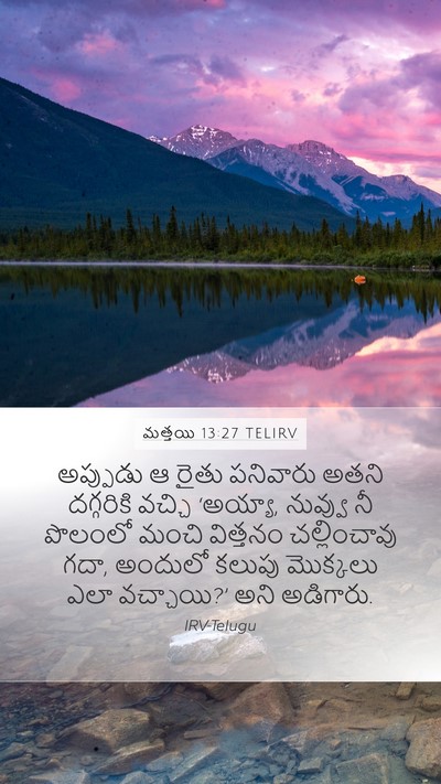మత్తయి 13:27 TELIRV Mobile Phone Wallpaper - అప్పుడు ఆ రైతు - Mobile Bible Verse Wallpaper