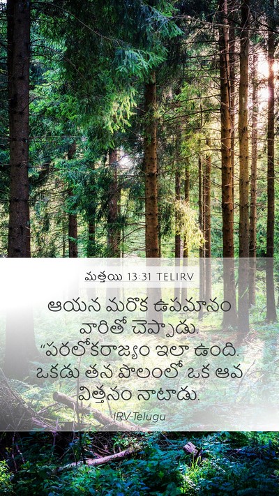 మత్తయి 13:31 TELIRV Bible Verse Image