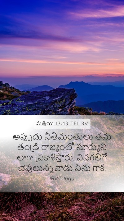 మత్తయి 13:43 TELIRV Bible Verse Image