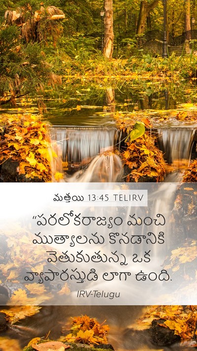 మత్తయి 13:45 TELIRV Bible Verse Image