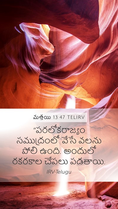 మత్తయి 13:47 TELIRV Bible Verse Image