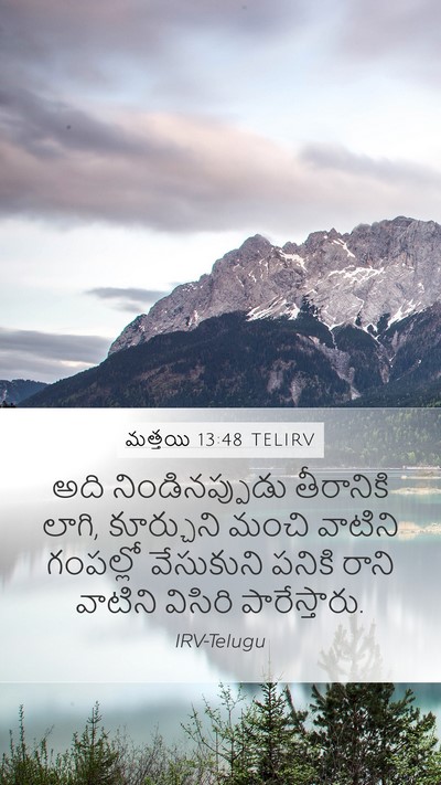 మత్తయి 13:48 TELIRV Mobile Phone Wallpaper - అది నిండినప్పుడు - Mobile Bible Verse Wallpaper