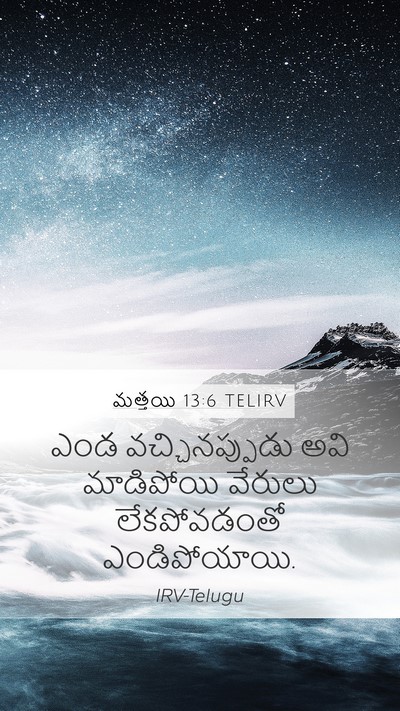మత్తయి 13:6 TELIRV Bible Verse Image