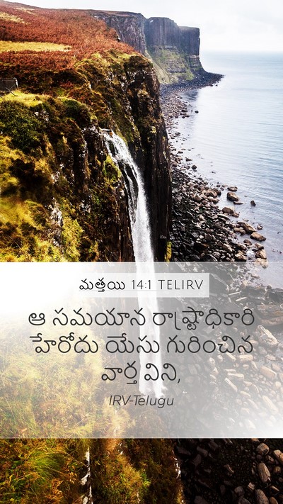 మత్తయి 14:1 TELIRV Bible Verse Image