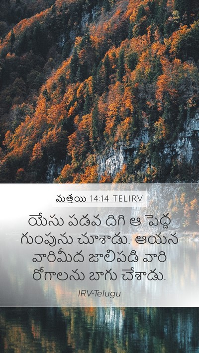 మత్తయి 14:14 TELIRV Bible Verse Image
