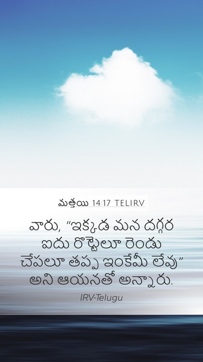 మత్తయి 14:17 TELIRV Bible Verse Image