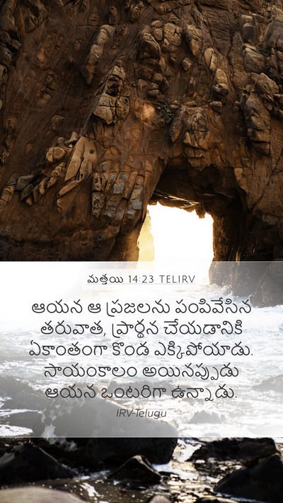 మత్తయి 14:23 TELIRV Bible Verse Image