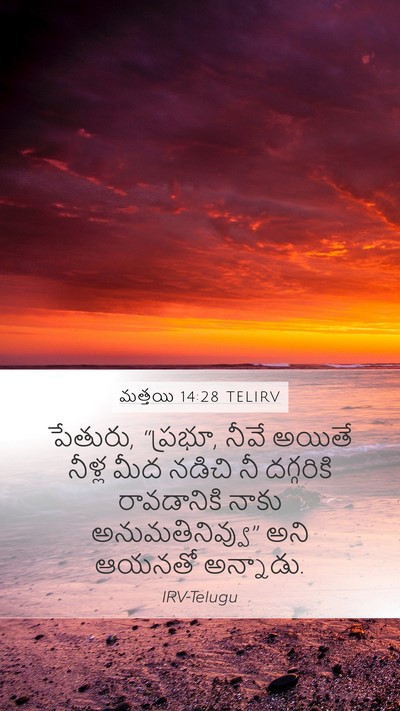 మత్తయి 14:28 TELIRV Mobile Phone Wallpaper - పేతురు, “ప్రభూ, - Mobile Bible Verse Wallpaper