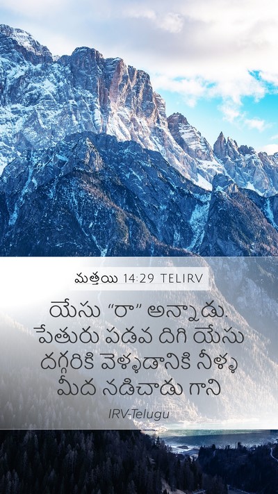 మత్తయి 14:29 TELIRV Mobile Phone Wallpaper - యేసు “రా” అన్నాడు. - Mobile Bible Verse Wallpaper