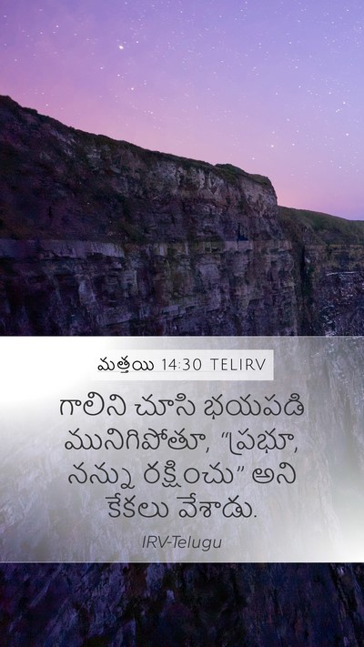 మత్తయి 14:30 TELIRV Bible Verse Image