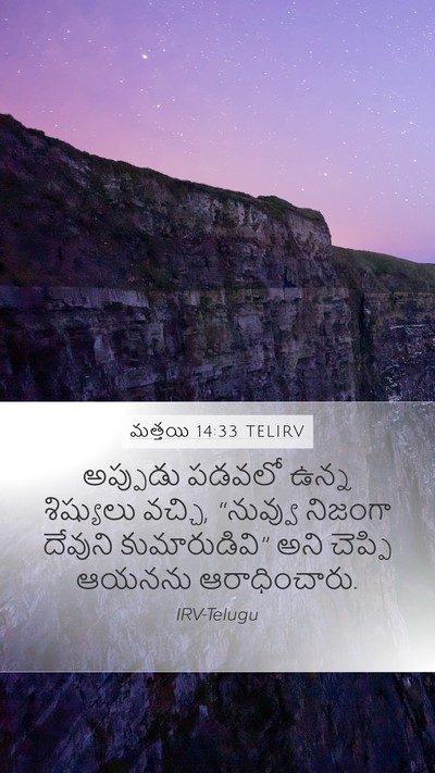 మత్తయి 14:33 TELIRV Bible Verse Image