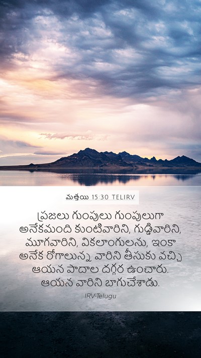 మత్తయి 15:30 TELIRV Bible Verse Image