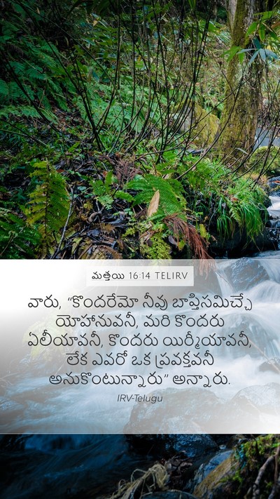 మత్తయి 16:14 TELIRV Bible Verse Image