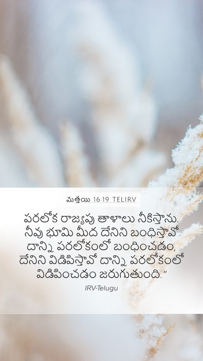 మత్తయి 16:19 TELIRV Bible Verse Image