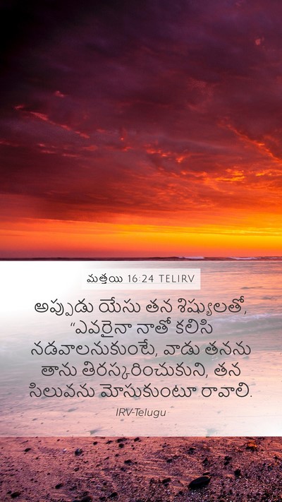 మత్తయి 16:24 TELIRV Bible Verse Image
