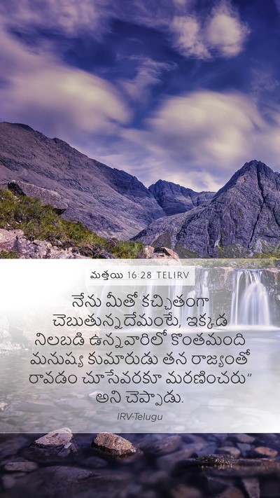 మత్తయి 16:28 TELIRV Bible Verse Image