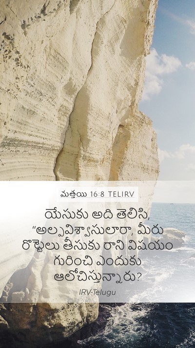 మత్తయి 16:8 TELIRV Bible Verse Image