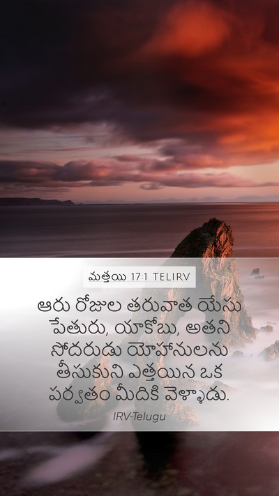 మత్తయి 17:1 TELIRV Mobile Phone Wallpaper - ఆరు రోజుల తరువాత - Mobile Bible Verse Wallpaper